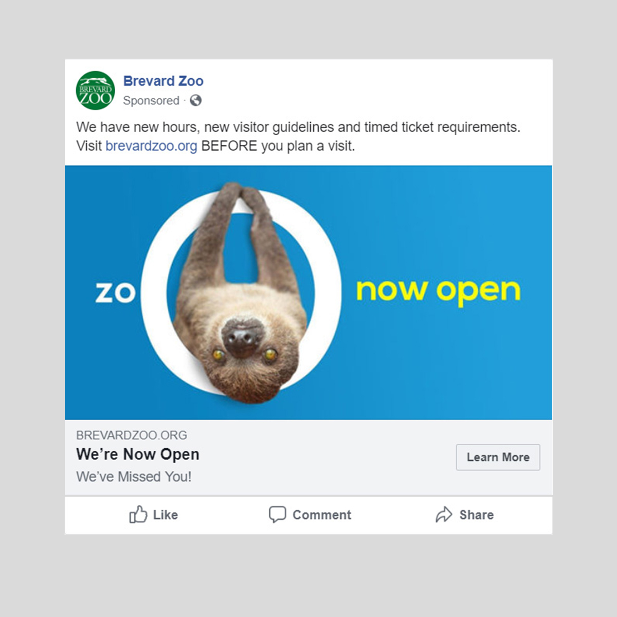 zoo digital open sloth