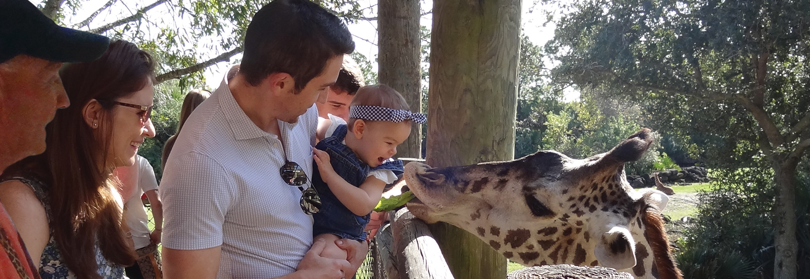 brevard zoo family header