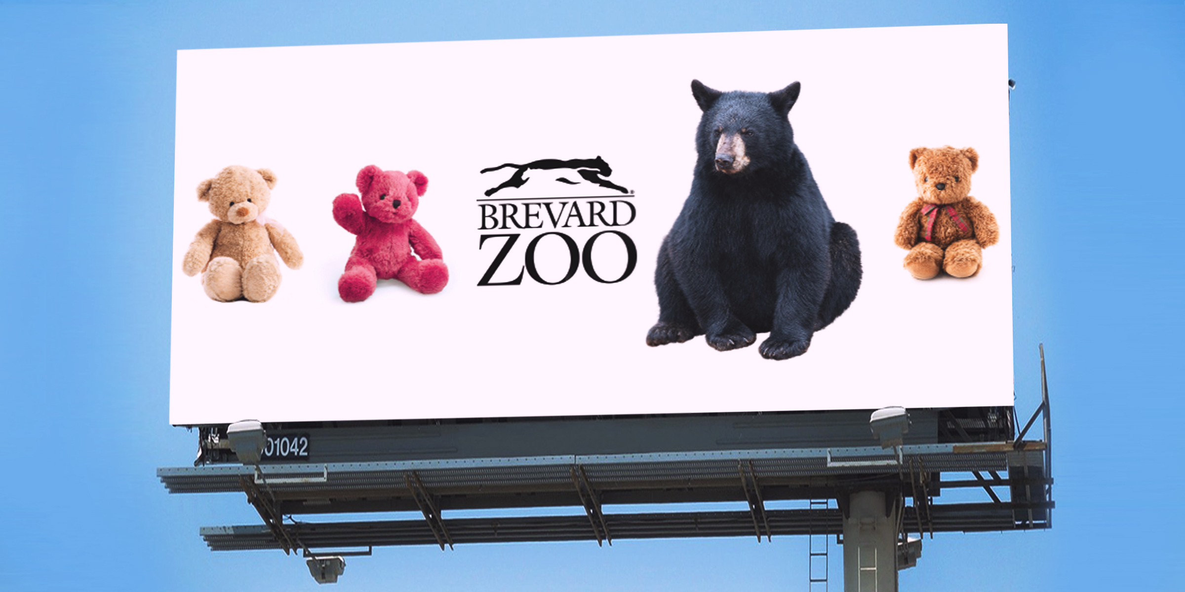 bears teddy billboard