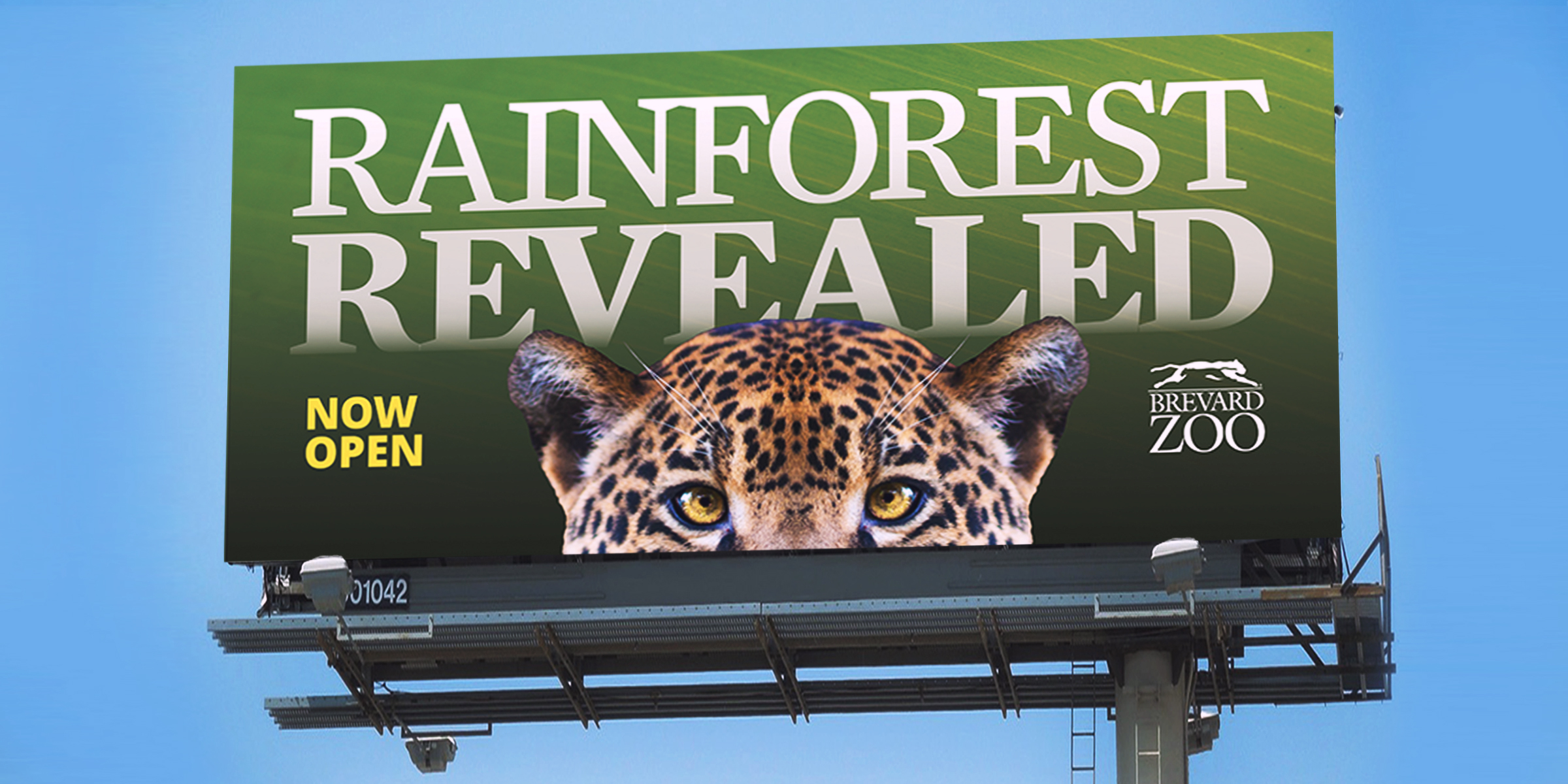 rainforest billboard jaguar
