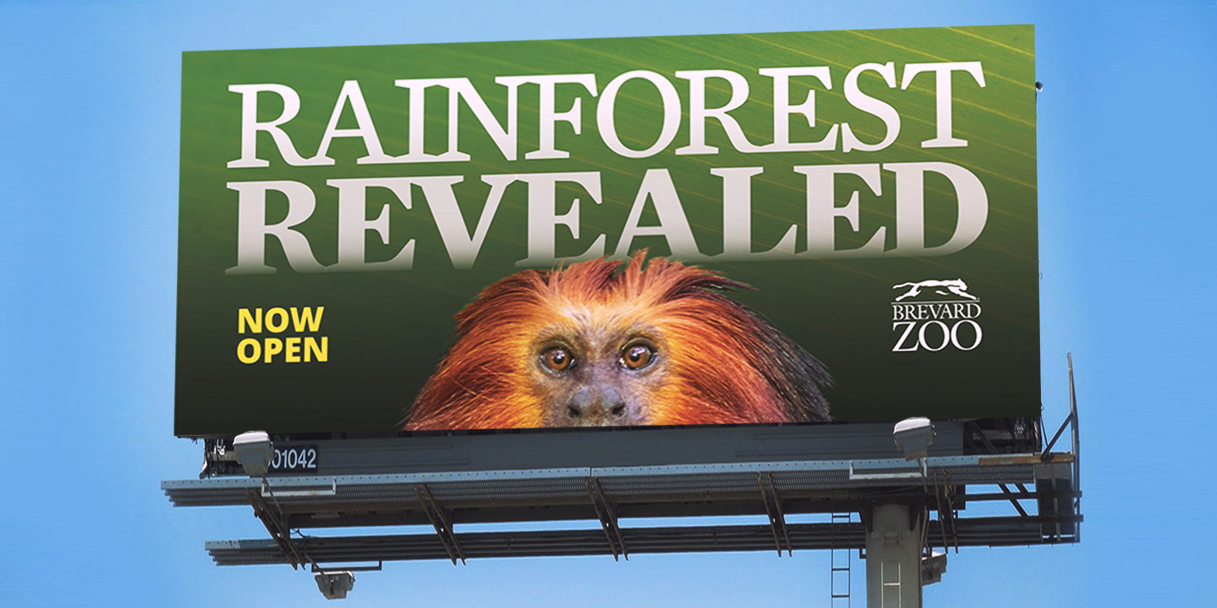 rainforest billboard monkey