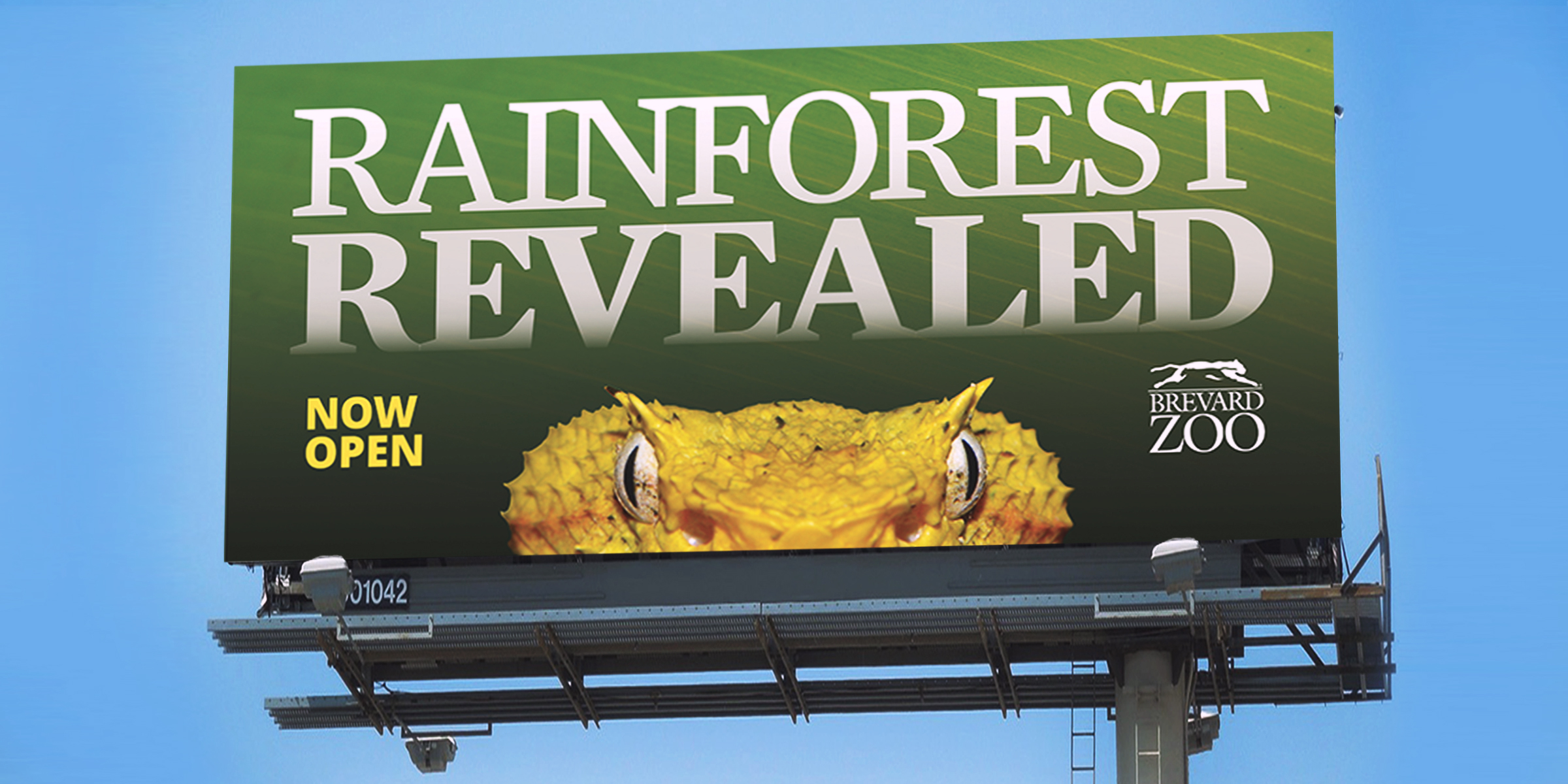rainforest billboard viper