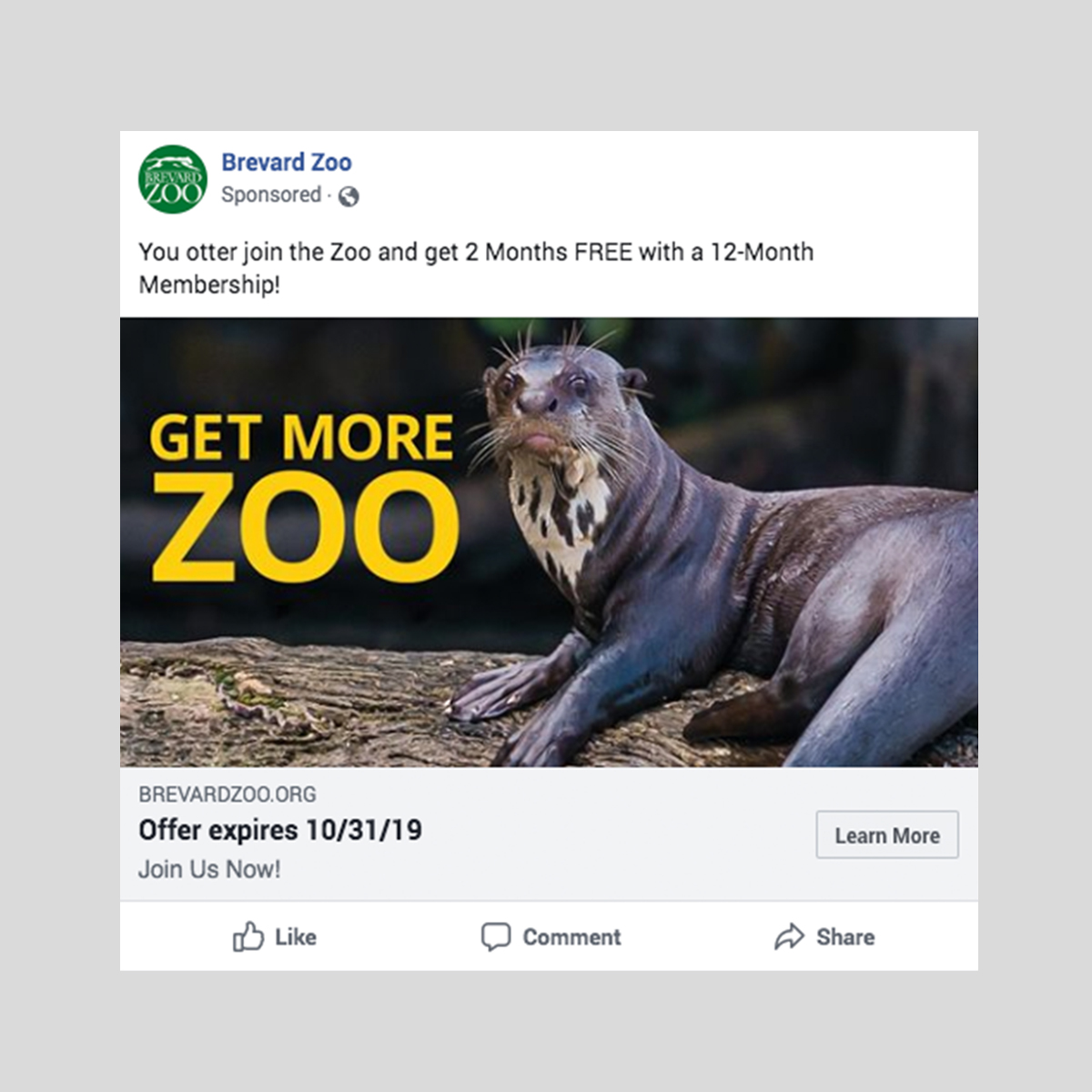 zoo get more digital ad