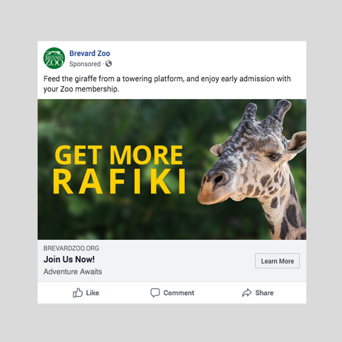 members get more digital ad giraffe
