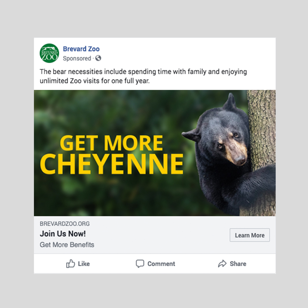 members get more digital ad bear