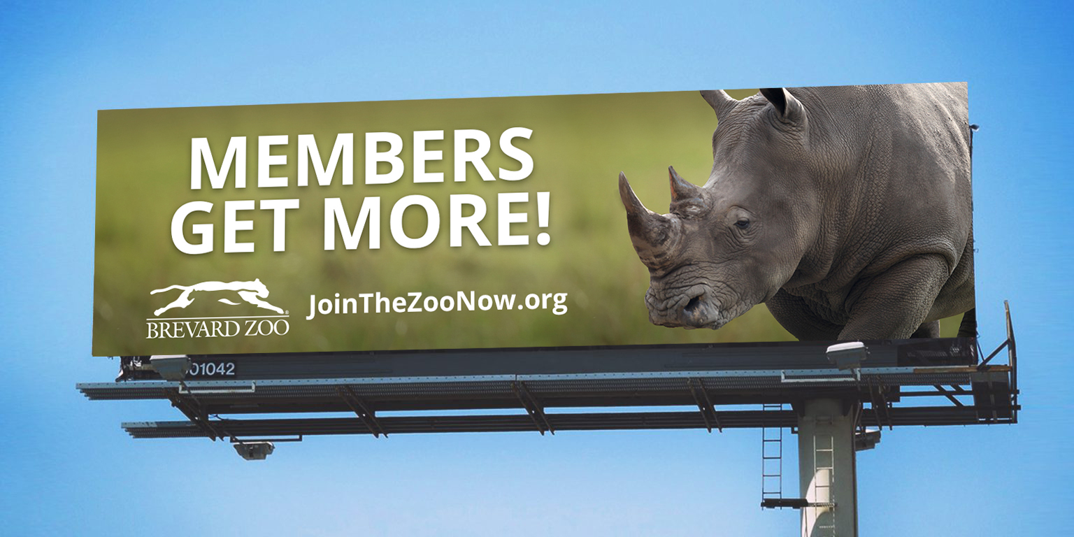 members get more billboard rhino